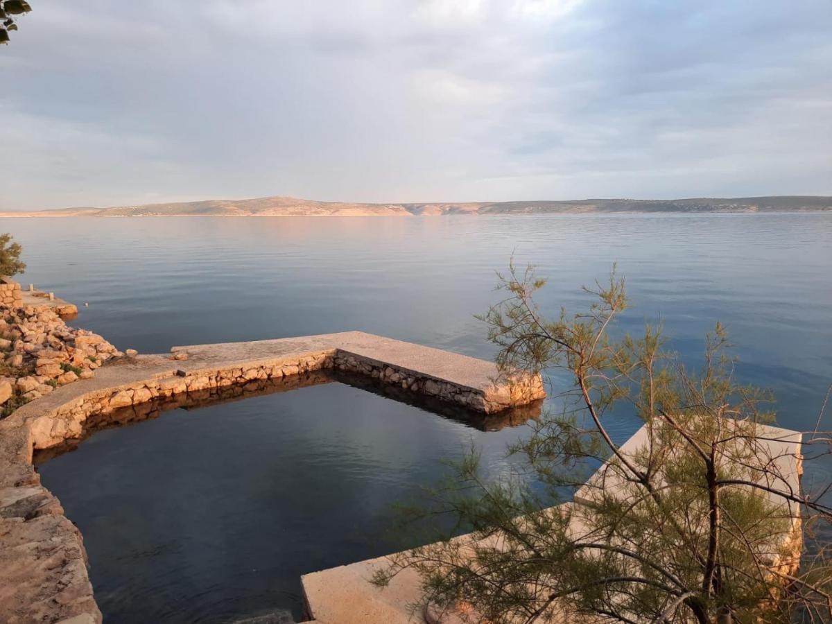Apartmani Antea ستاريغغاد باكلينتسا المظهر الخارجي الصورة