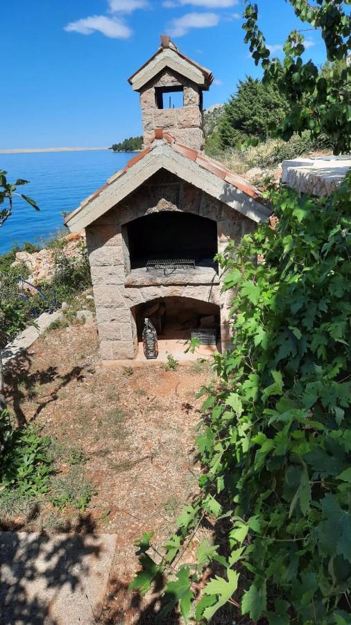 Apartmani Antea ستاريغغاد باكلينتسا المظهر الخارجي الصورة