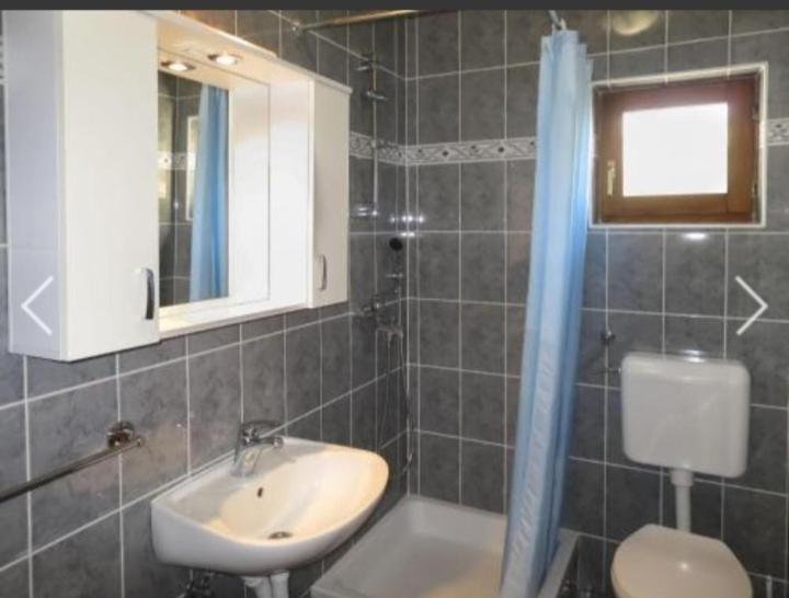 Apartmani Antea ستاريغغاد باكلينتسا الغرفة الصورة