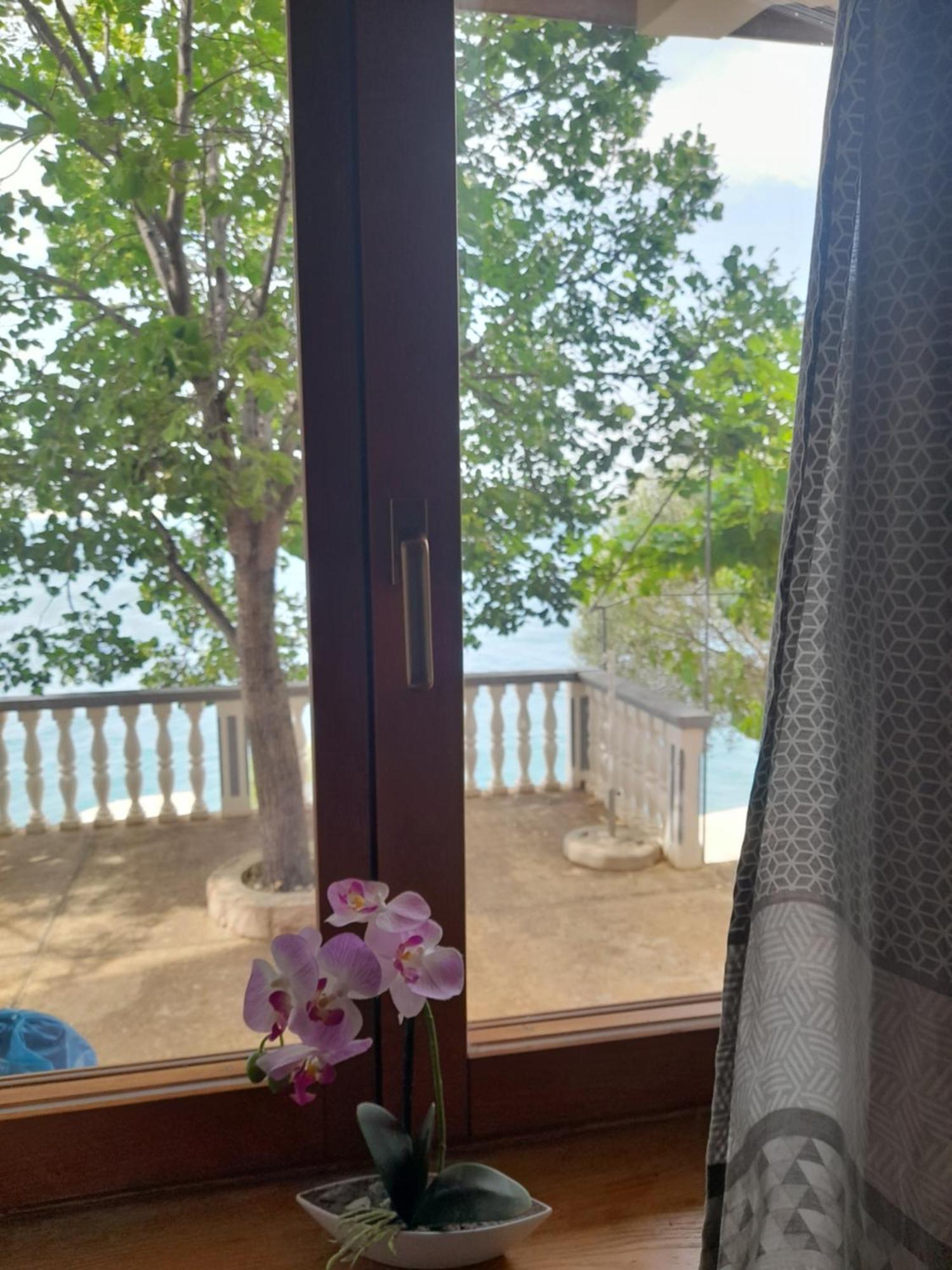 Apartmani Antea ستاريغغاد باكلينتسا الغرفة الصورة